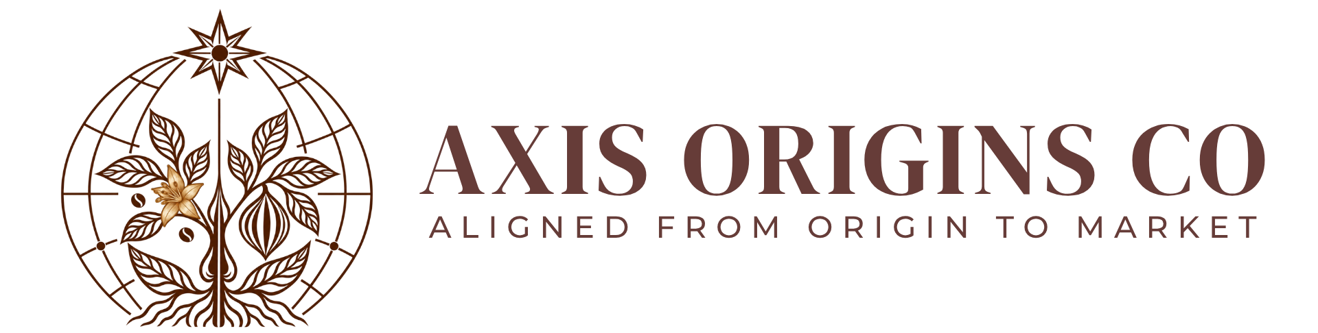 LOGO AXIS